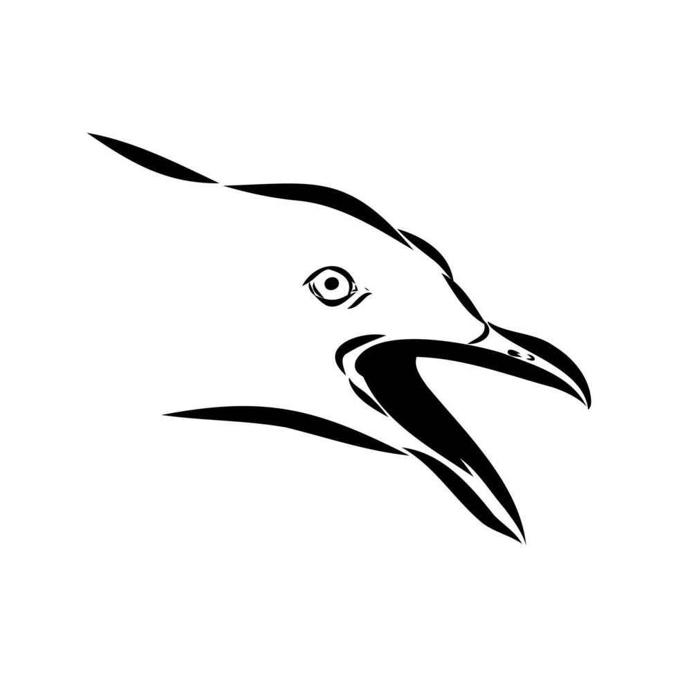 Australian seagull drawing vector