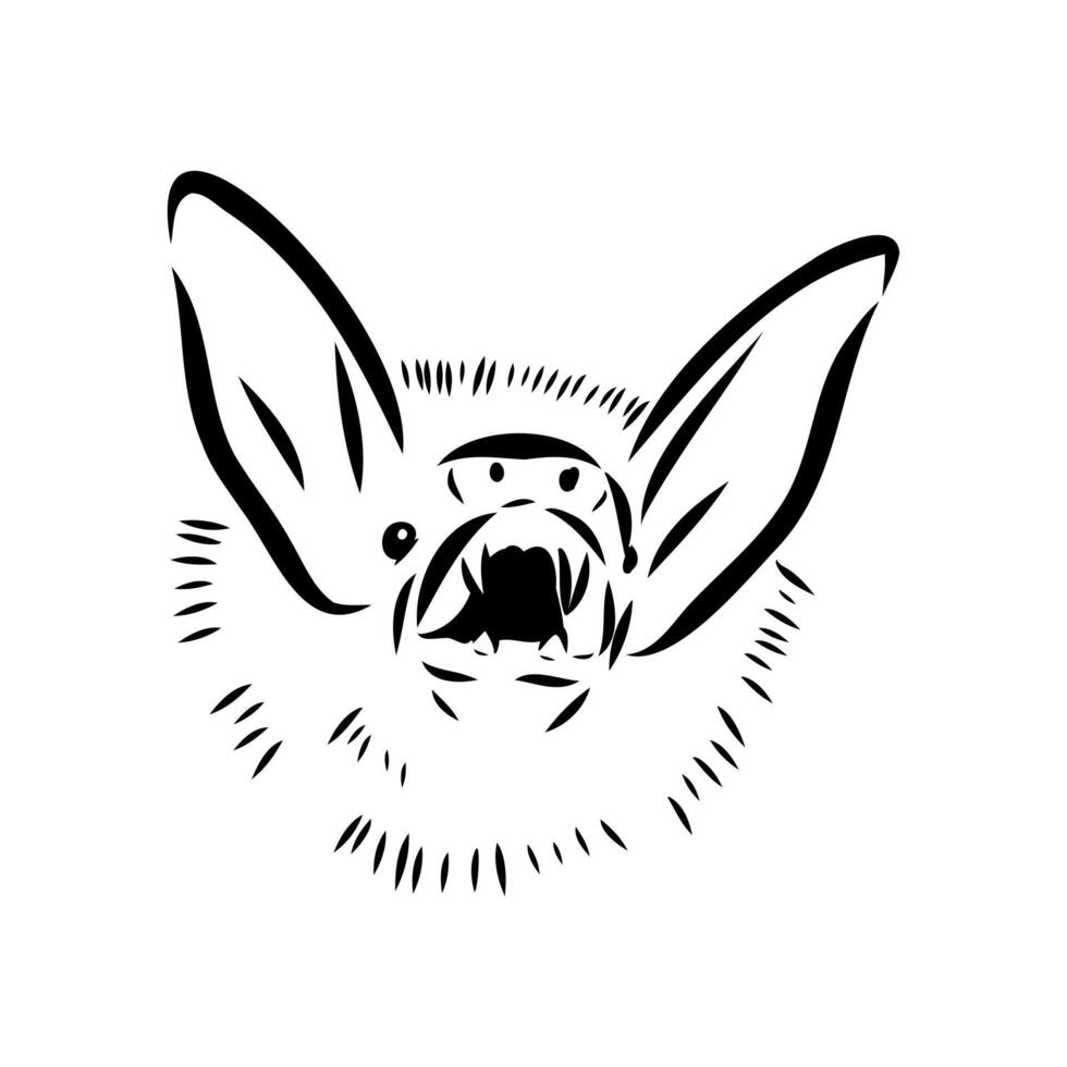 sketch of the muzzle of an ultrasound-emitting bat vector