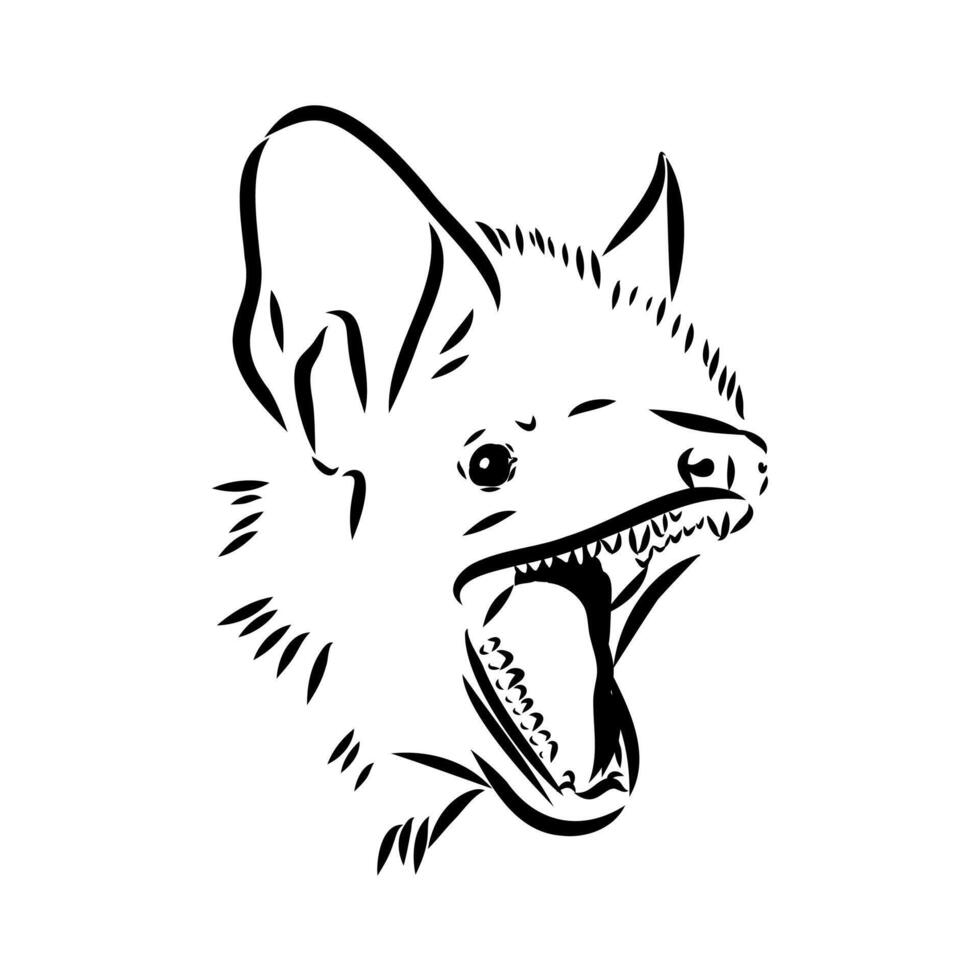 sketch of an ultrasound-emitting bat vector