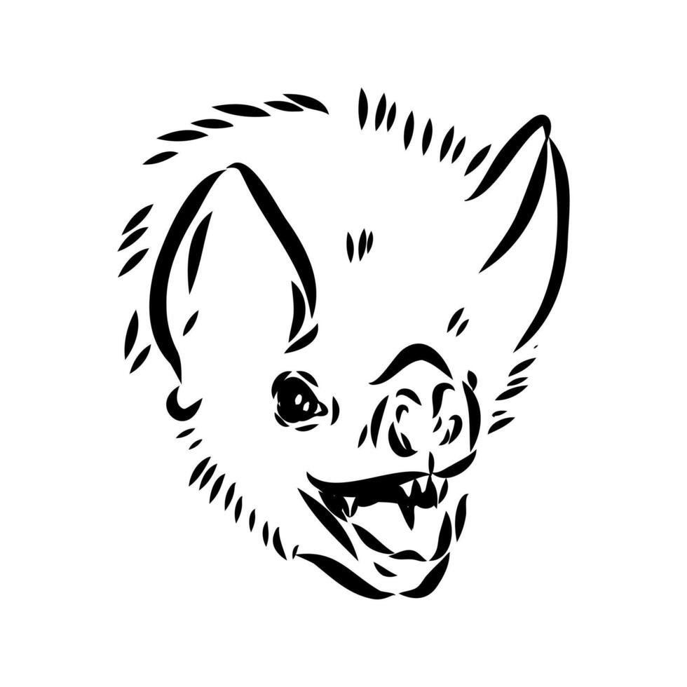 black and white sketch of a bat's head vector