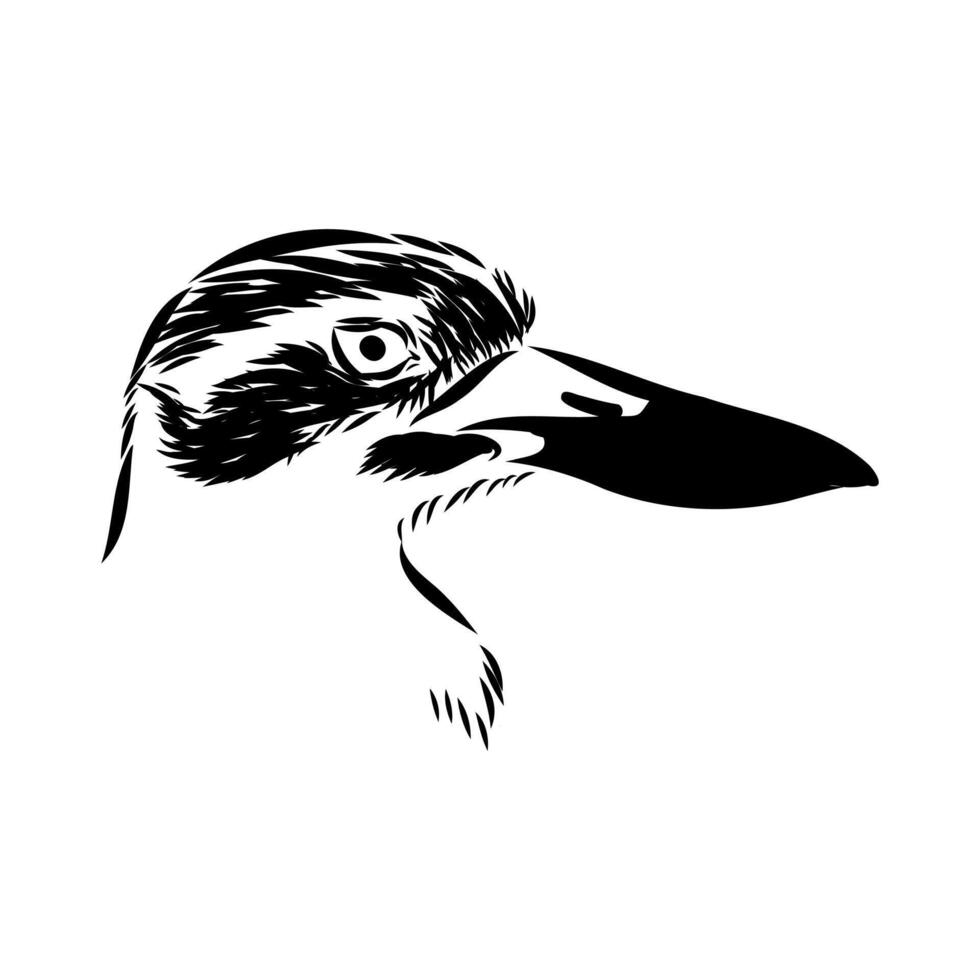 bird's head avdotka plover sketch vector