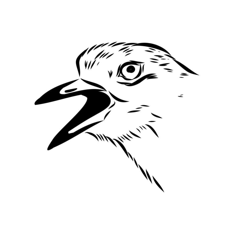 avdotka plover bird's head black and white sketch vector