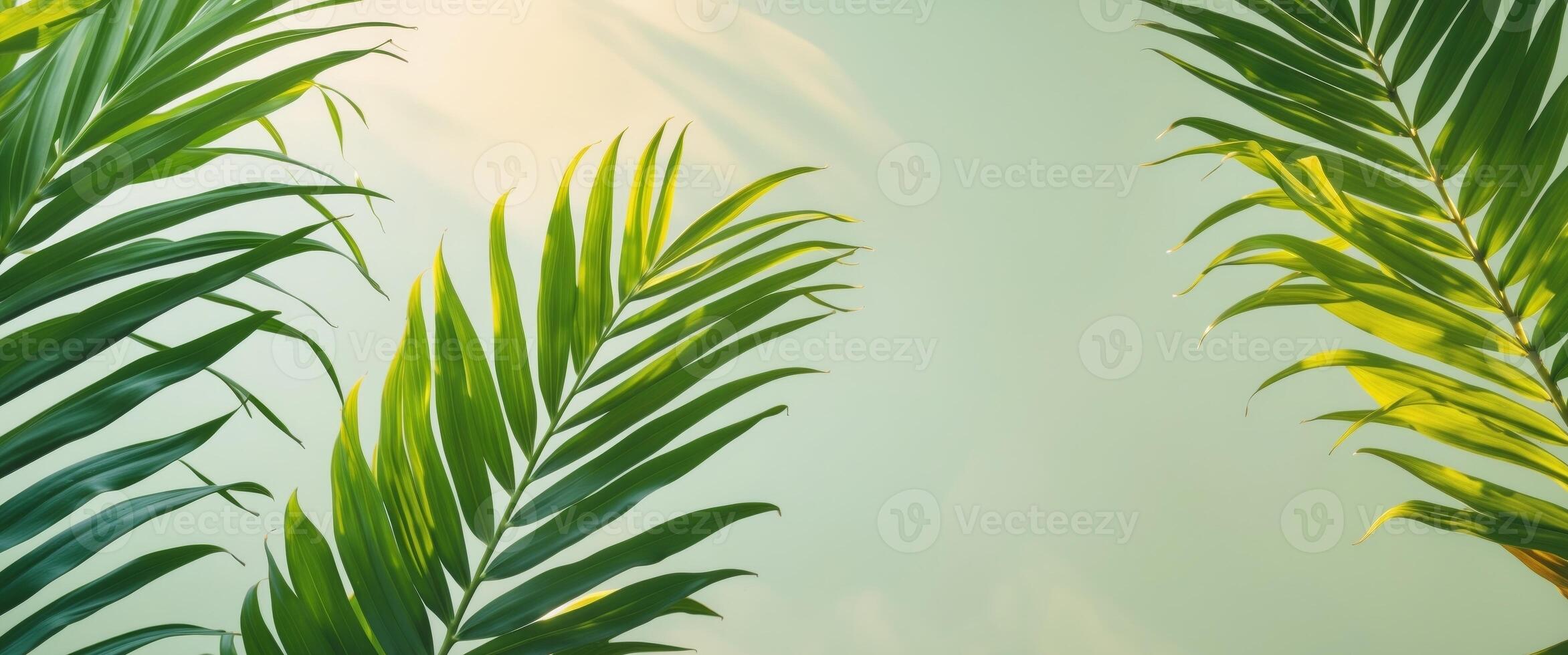 Tropical Green Leaves Texture Background Ideal for Nature Themes and Copy Space for Text photo