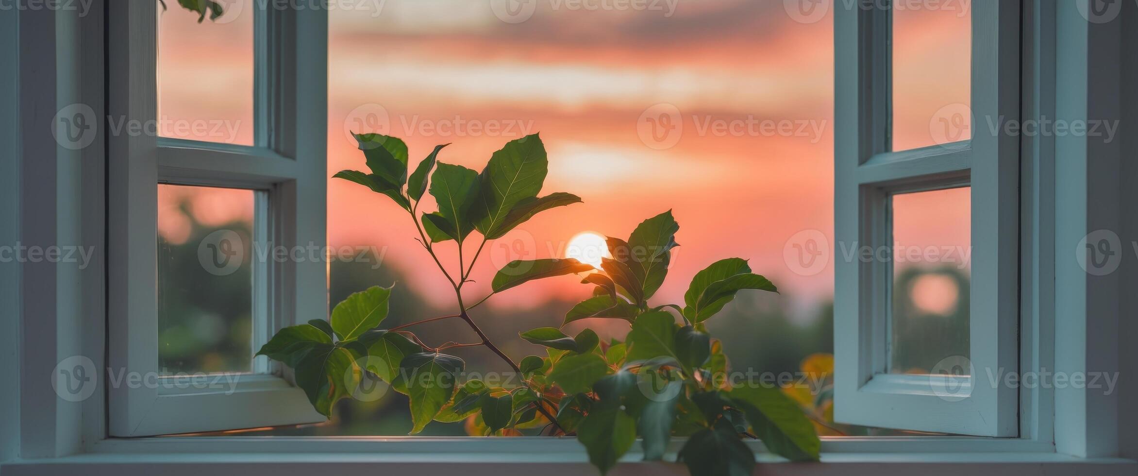 Beautiful sunset viewed through a window with vibrant green leaves in the foreground photo