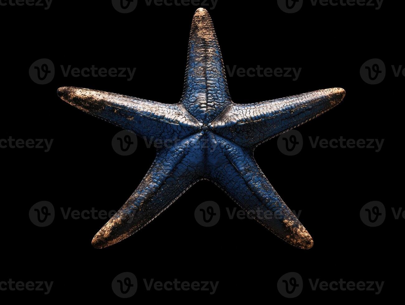 A blue starfish on a black background photo