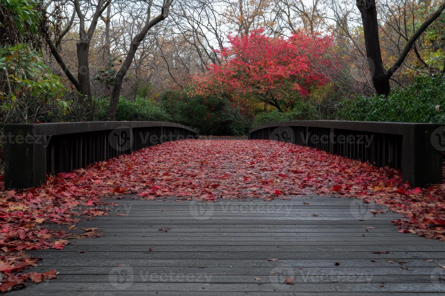 A wooden bridge covered in fallen autumn leaves in a park photo