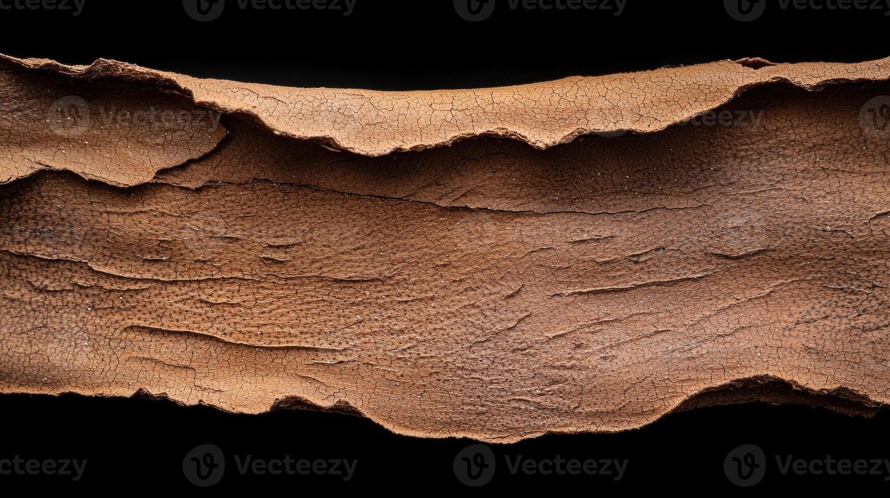 Close up of cracked brown bark texture on black background photo