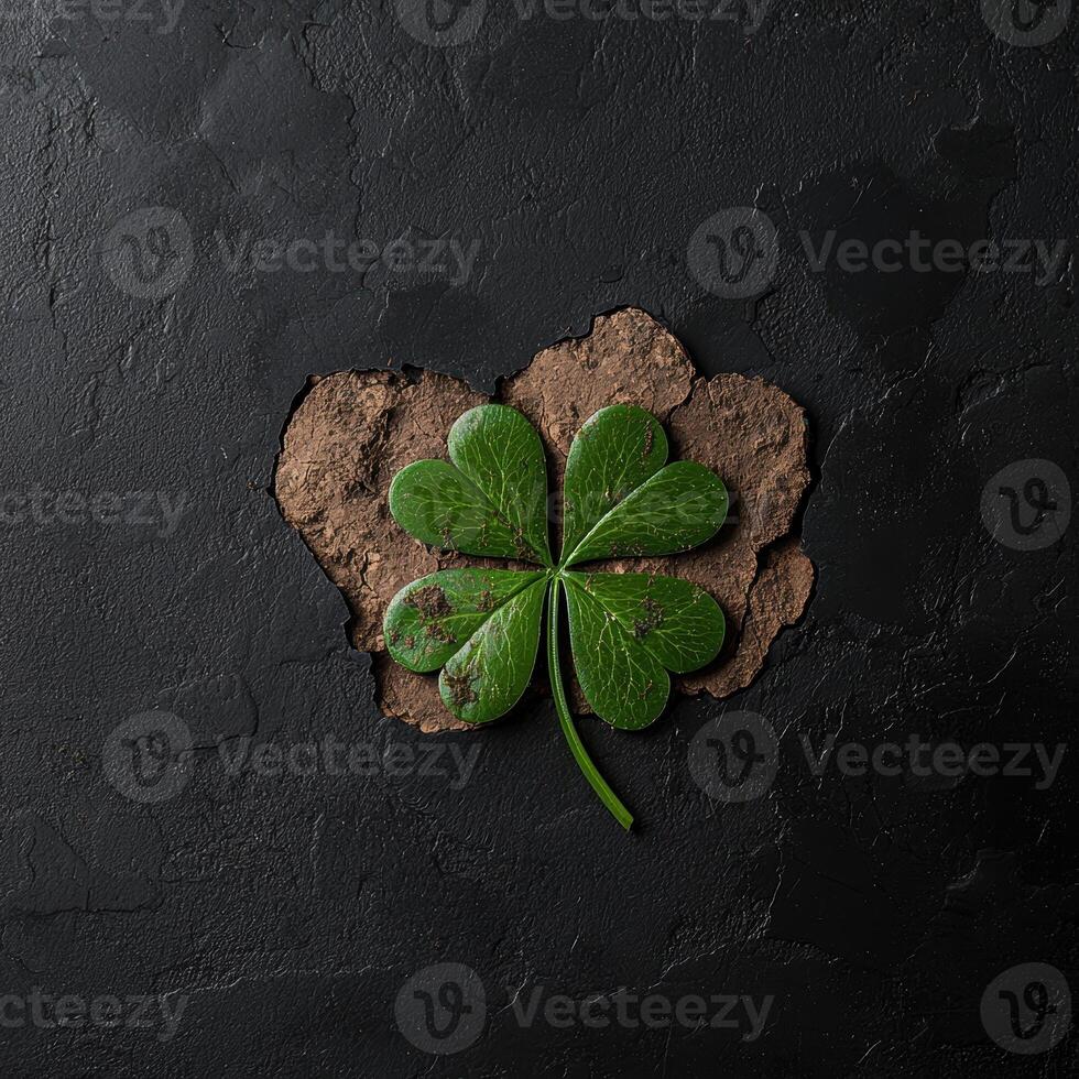 A four leaf clover on a textured background photo