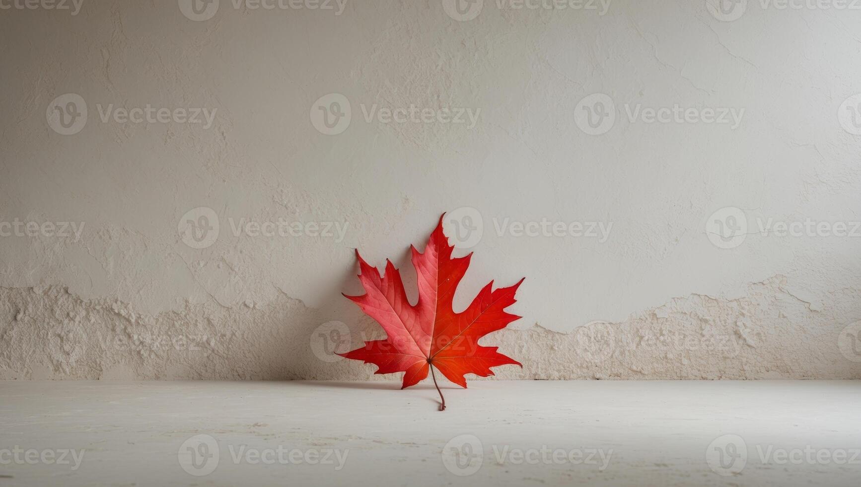 Single red leaf on textured white plaster background with copy space photo