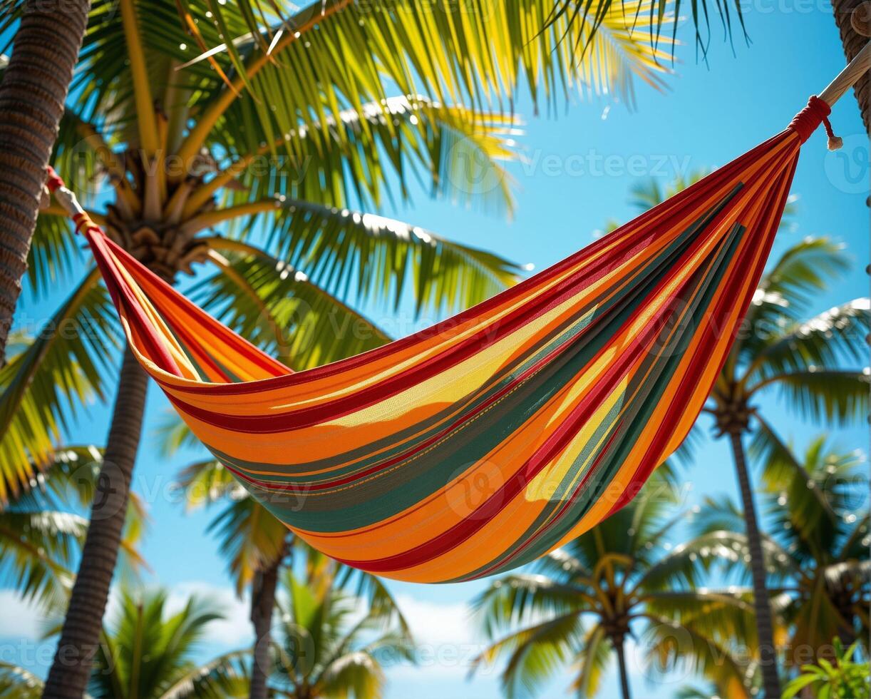 Colorful Hammock Strung Between Palm Trees Under Clear Blue Sky photo