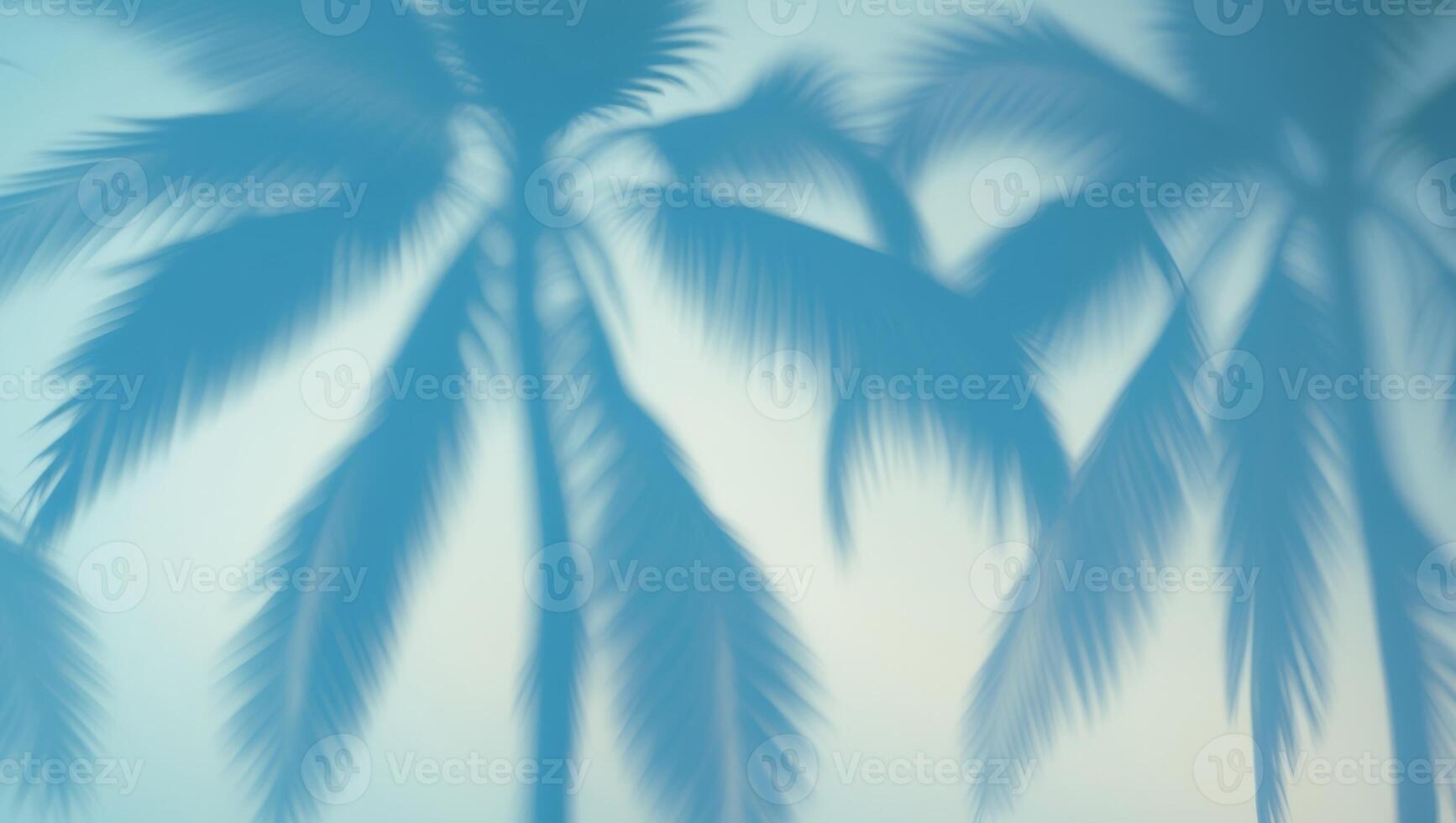 Tranquil Blue Background with Palm Shadows. photo