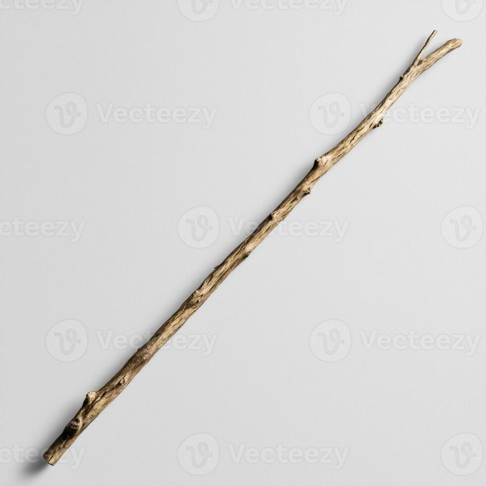 A simple brown stick on a white background photo