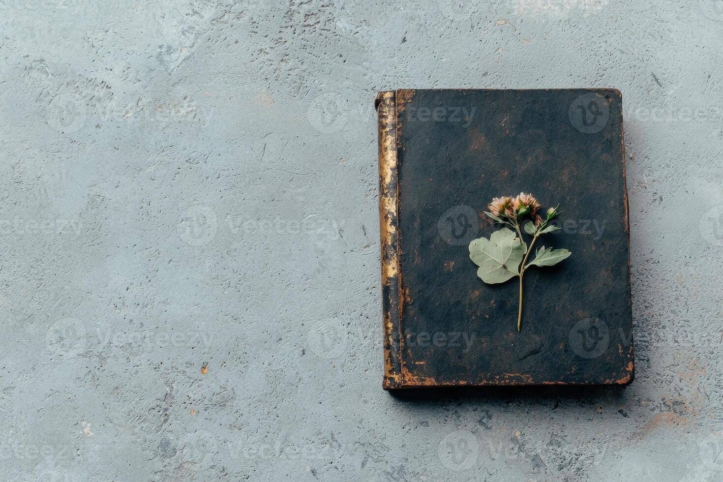 An old book with a flower on a textured background photo