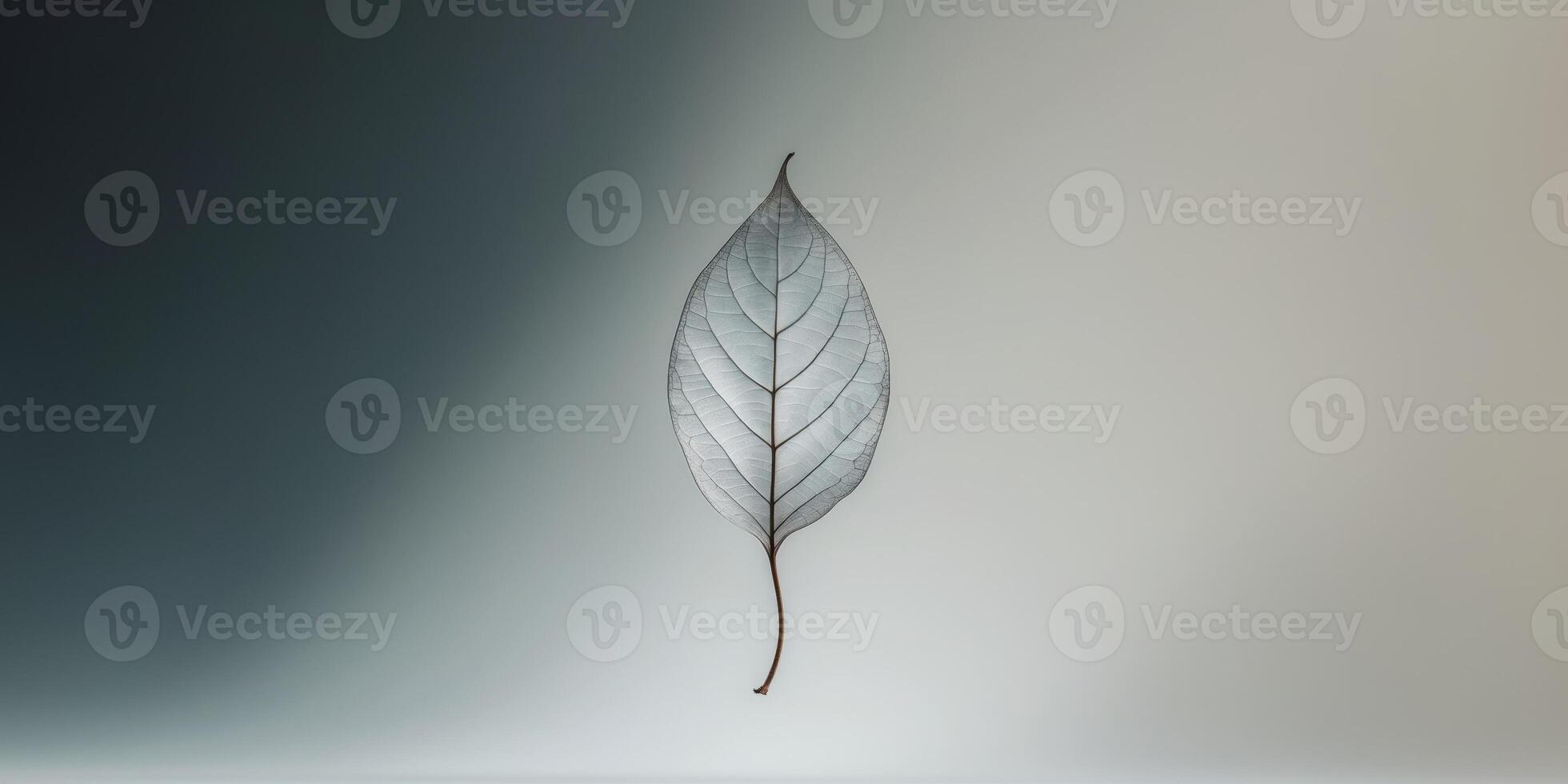 Abstract silhouette of a single leaf gracefully floating on a serene background contrasting dark and light shades. photo