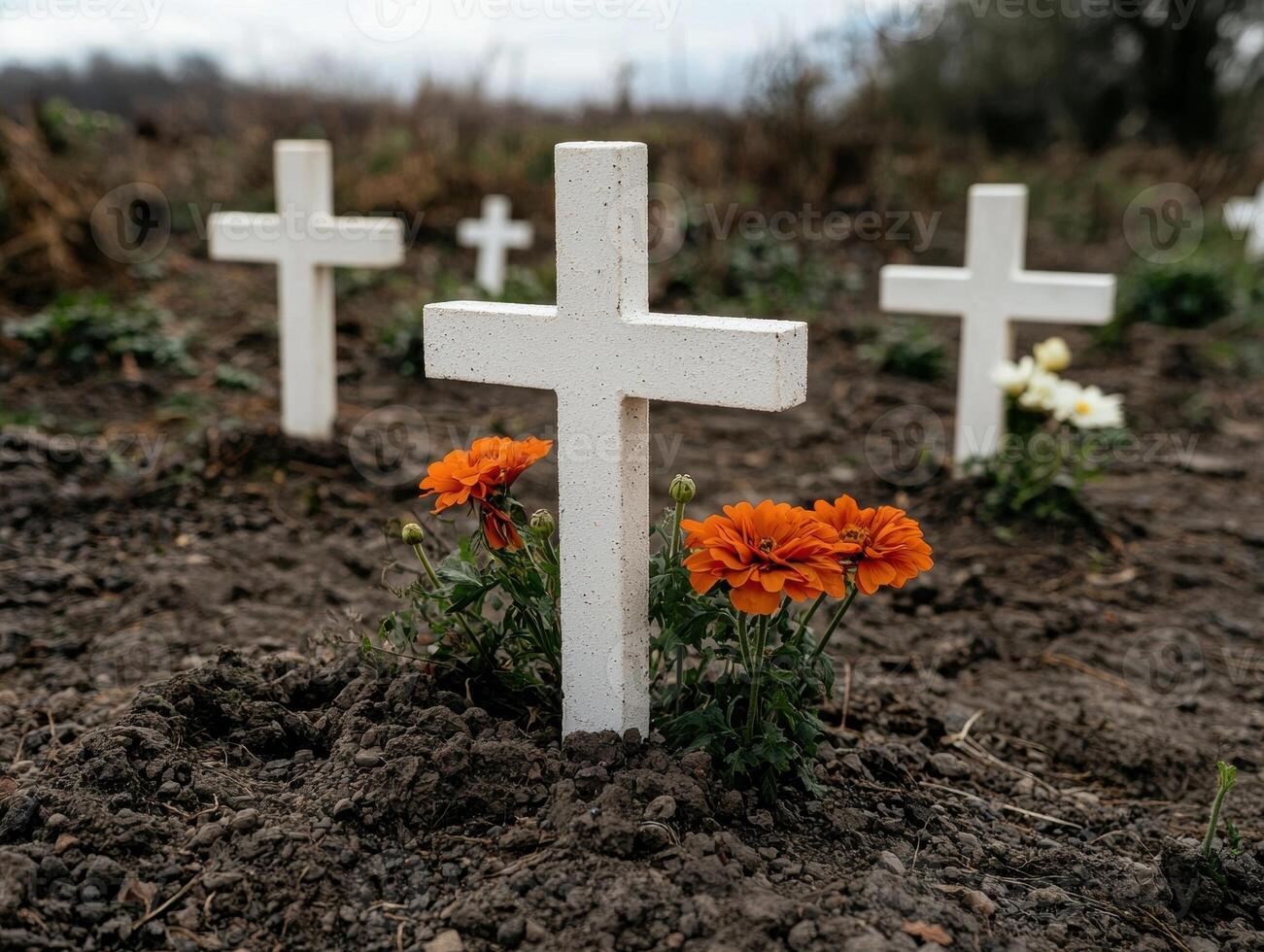 Graves marked with white crosses and orange flowers photo