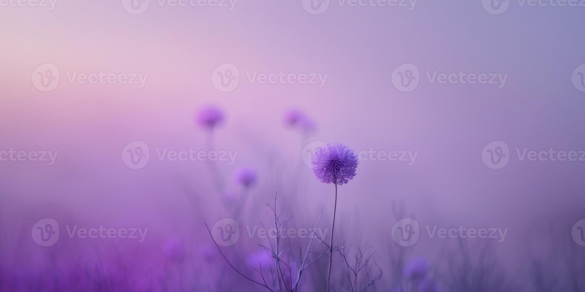 Purple blurred background with a gradient light. photo