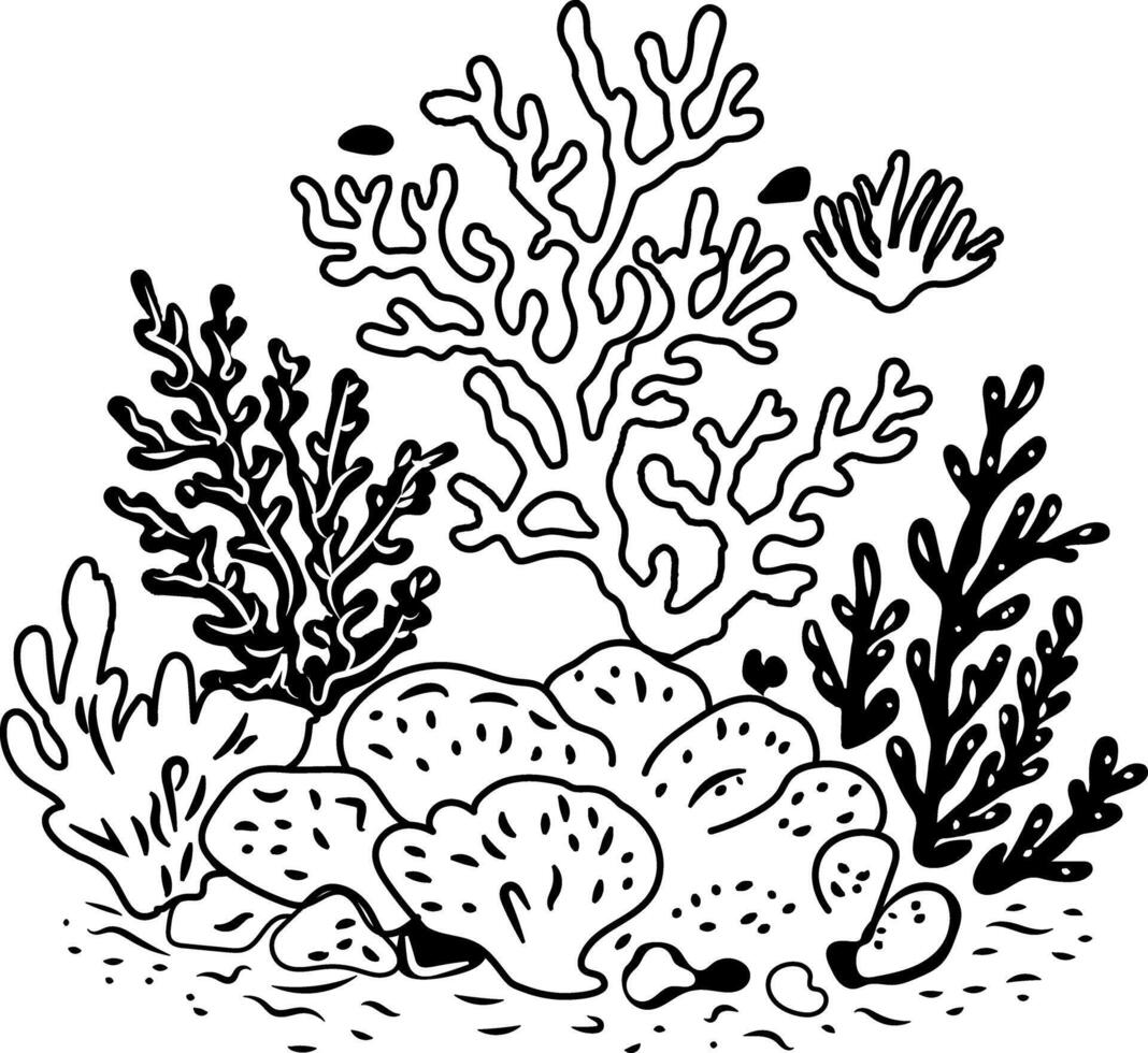 Coral reef plant icon in drawing style vector