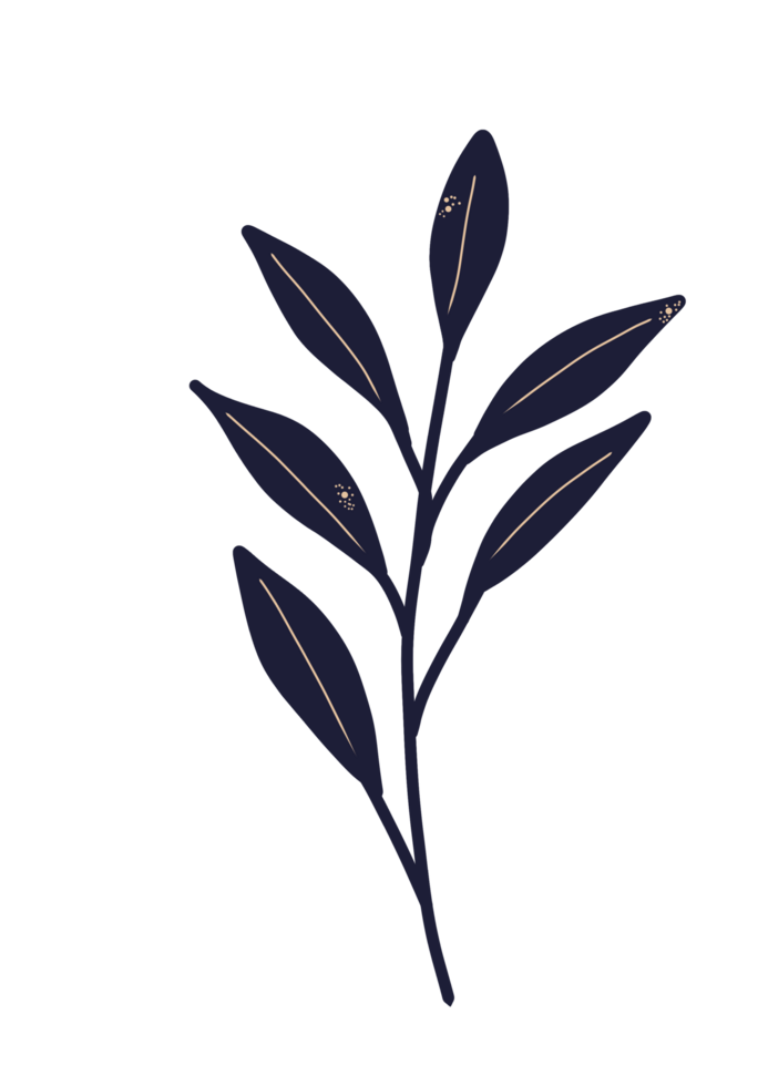 Simple hand drawn leaf in dark color png