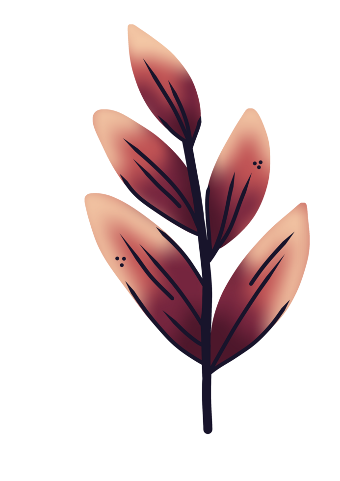 Dark brown tropical Leaf png