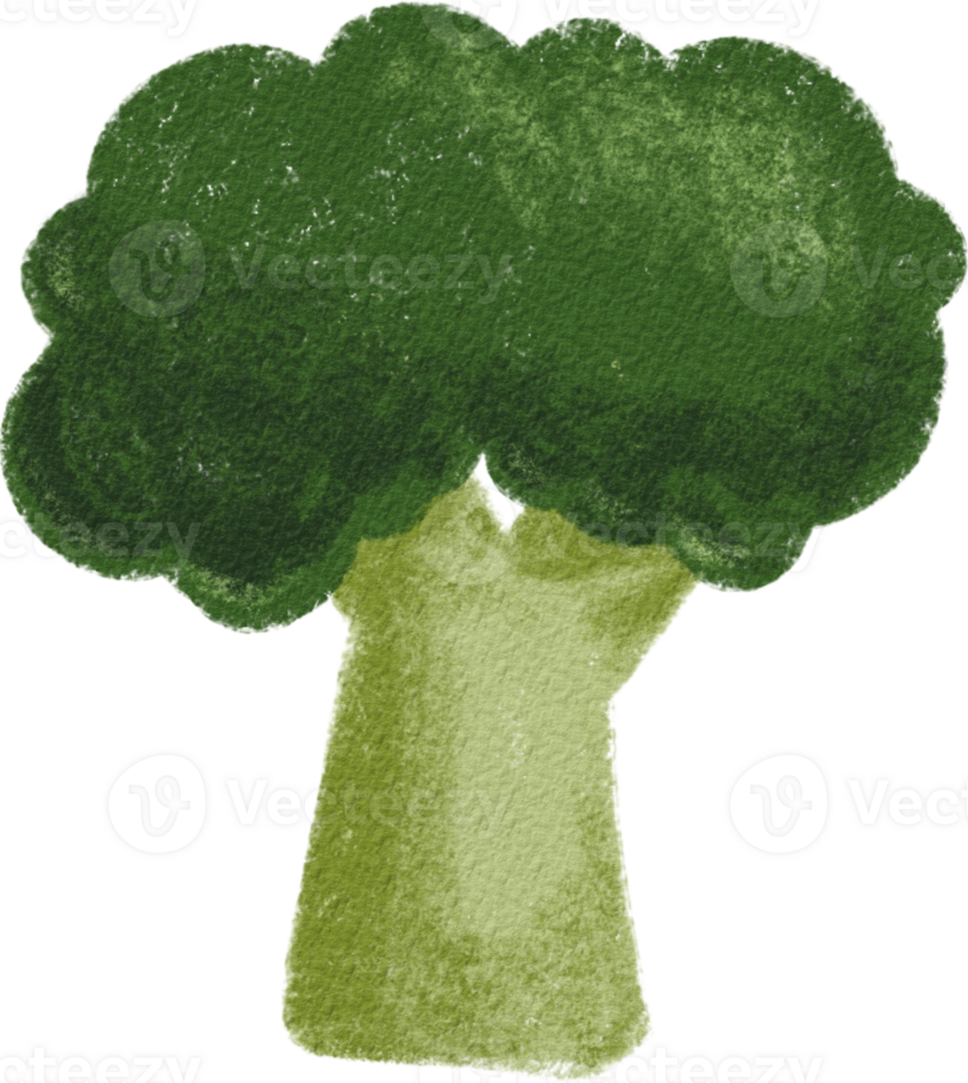 Broccoli Farm Fresh Goodness png