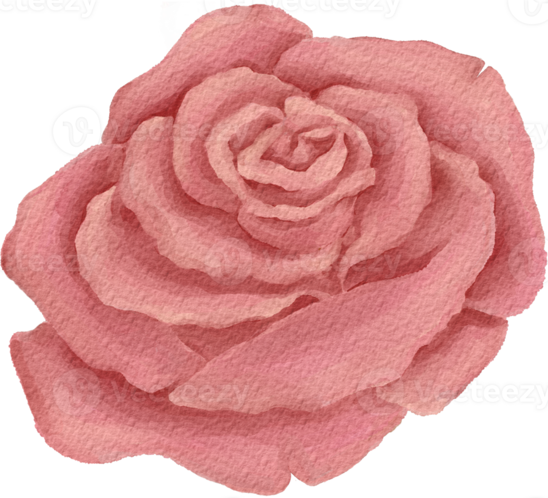 Petals Dancing in the Wind png