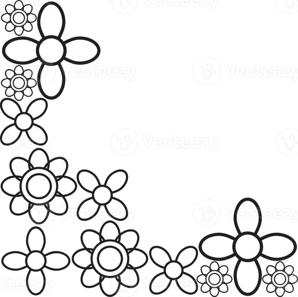 Elegant Petal Border design png