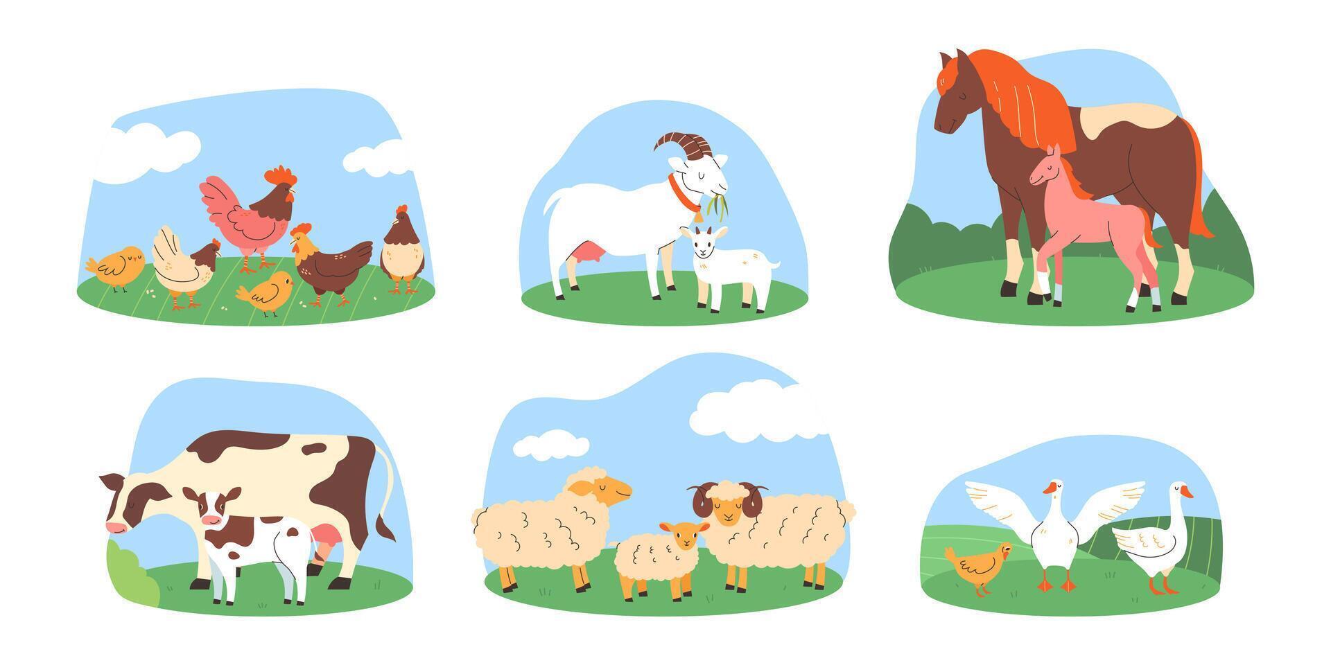 Flat style pets. Farming concept, eco livestyle. Pets walking on a green field vector