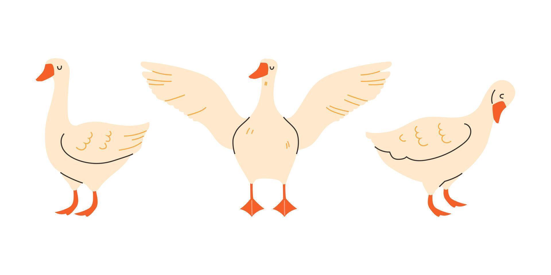 Playful geese in flat style on white background vector