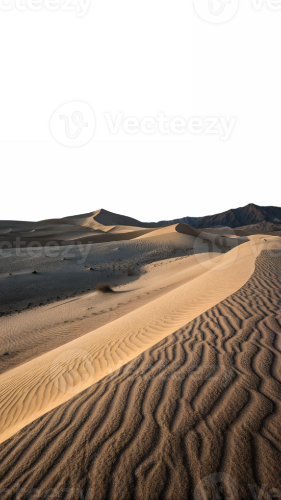 Expansive desert landscape with rolling sand dunes, showcasing smooth curves and textured patterns in the sand png
