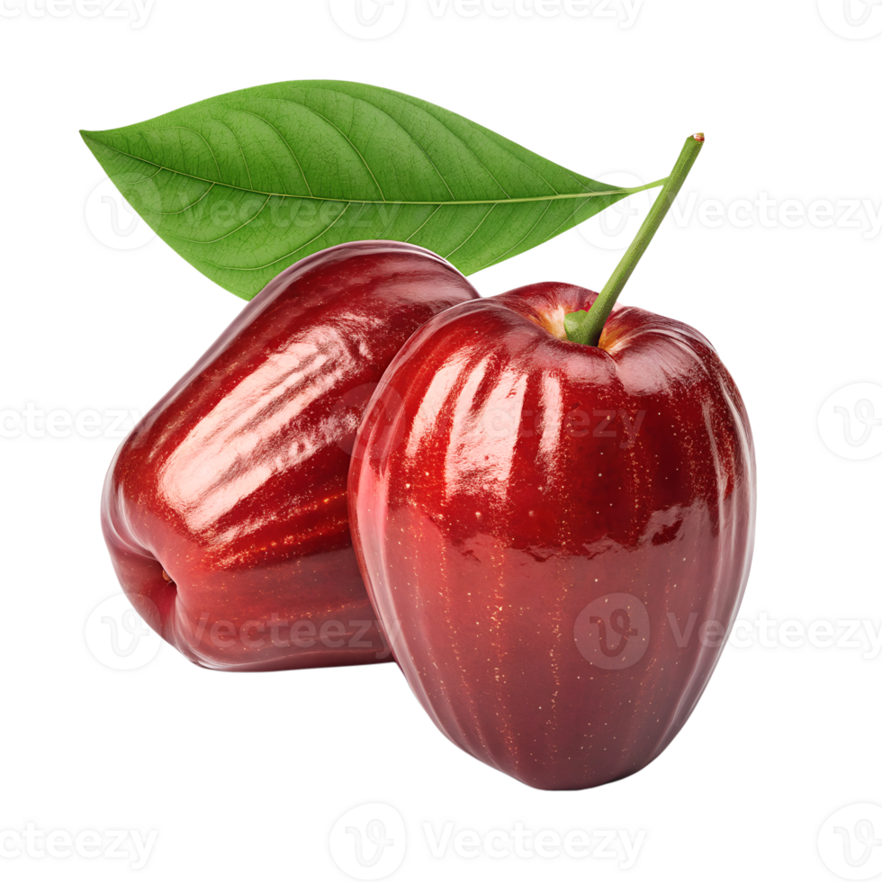 A shiny, two deep red Malay apple with a smooth, glossy surface, isolated on a transparent background png