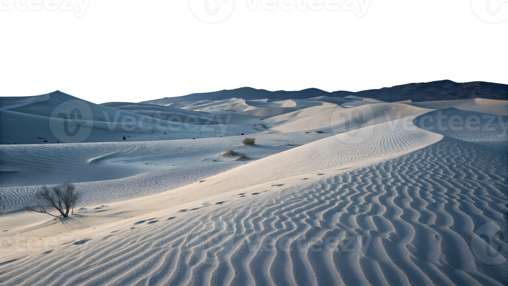 Desert landscape with rolling sand dunes, featuring smooth, wavy patterns in the sand, isolated on a transparent background png