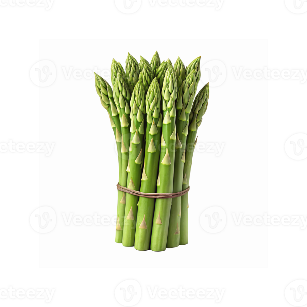 Fresh Green Asparagus Bundle with Rubber Band on Transparent Background for Healthy Cooking and Recipes png