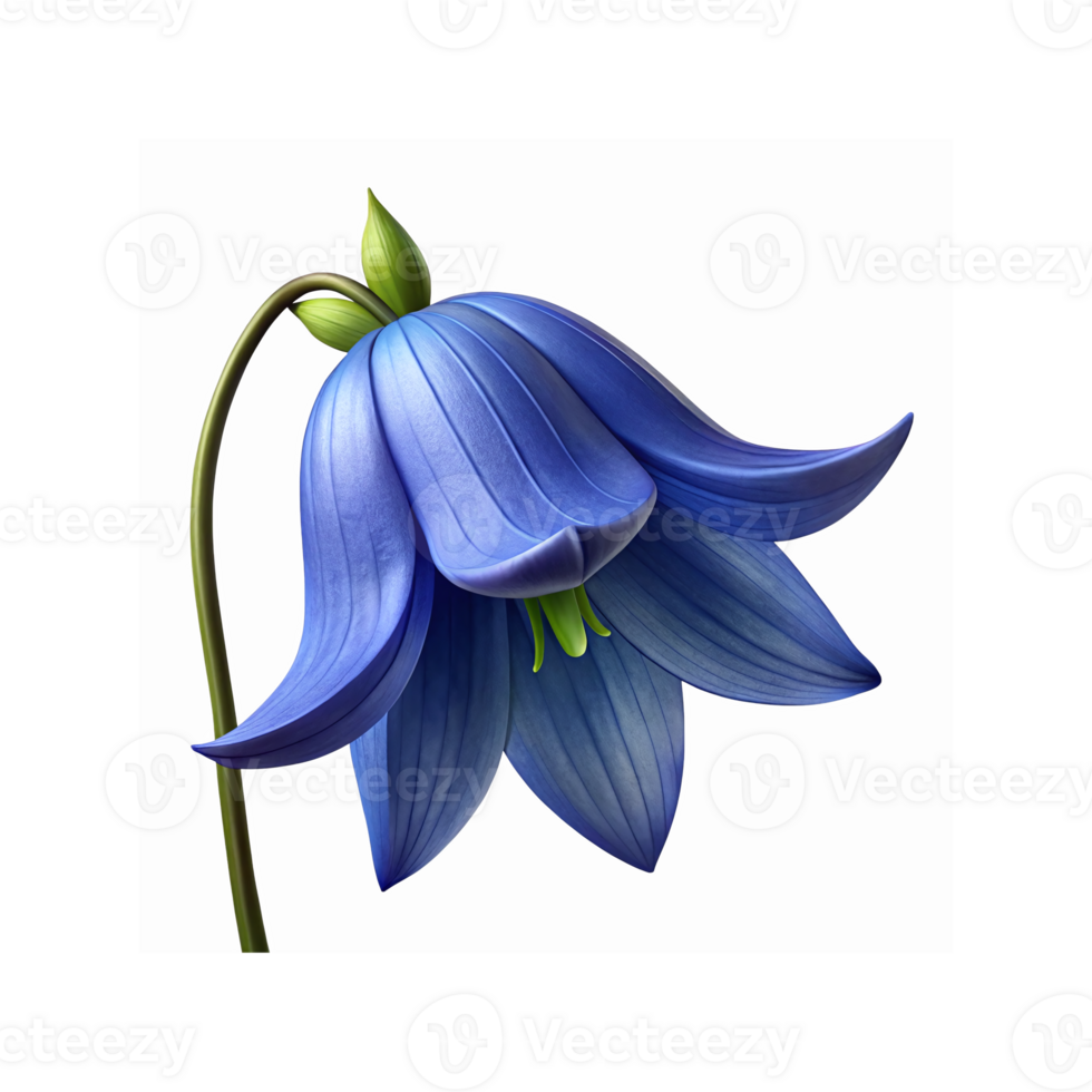 Vibrant Blue Bell Flower with Green Stem and Petals on Transparent Background for Nature Design png