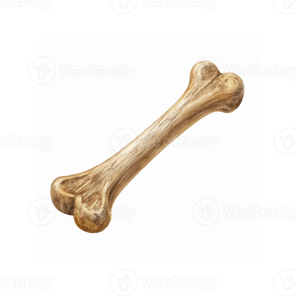 Realistic Wooden Bone Shaped Dog Chew Toy Isolated on Transparent Background for Pet Supplies png
