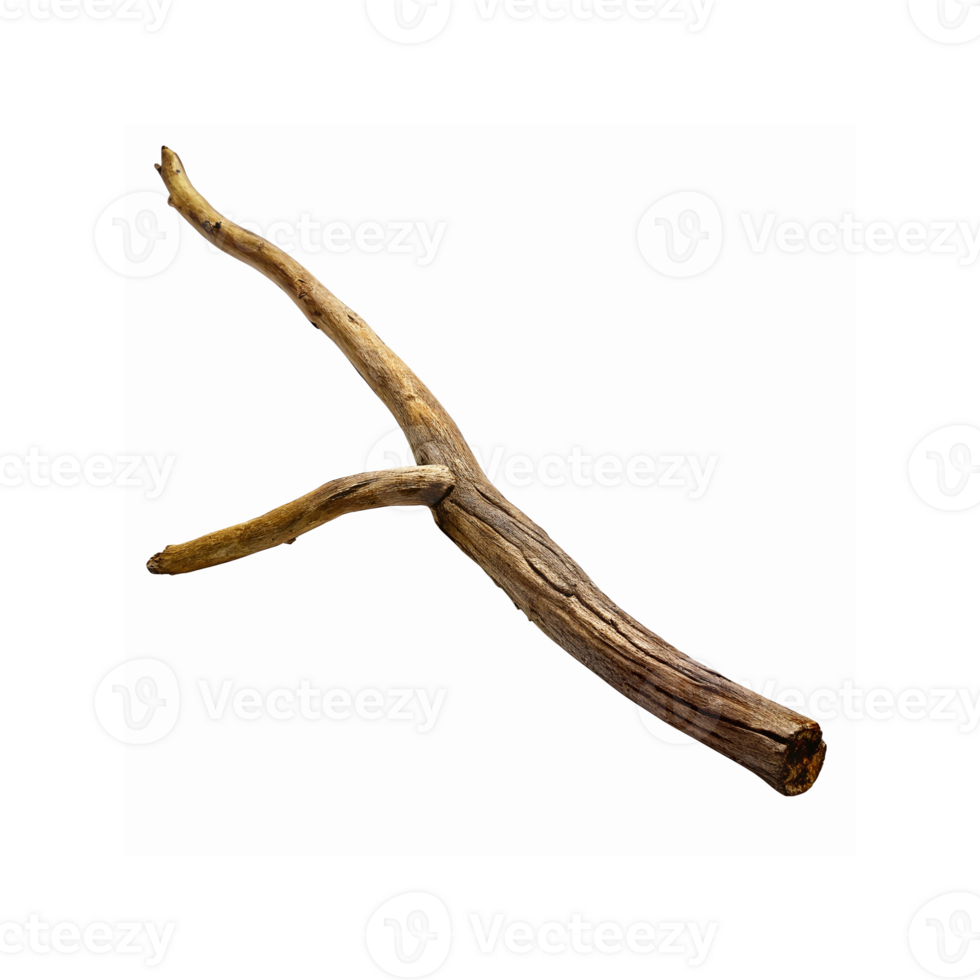 Natural Wooden Branch With Textured Bark and Split Shape For Decorative Craft or Rustic Design png