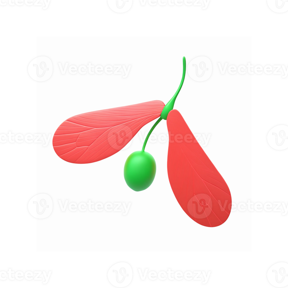 Vibrant Red Maple Seed Pod with Green Stem and Seed Depiction on Transparent Background png