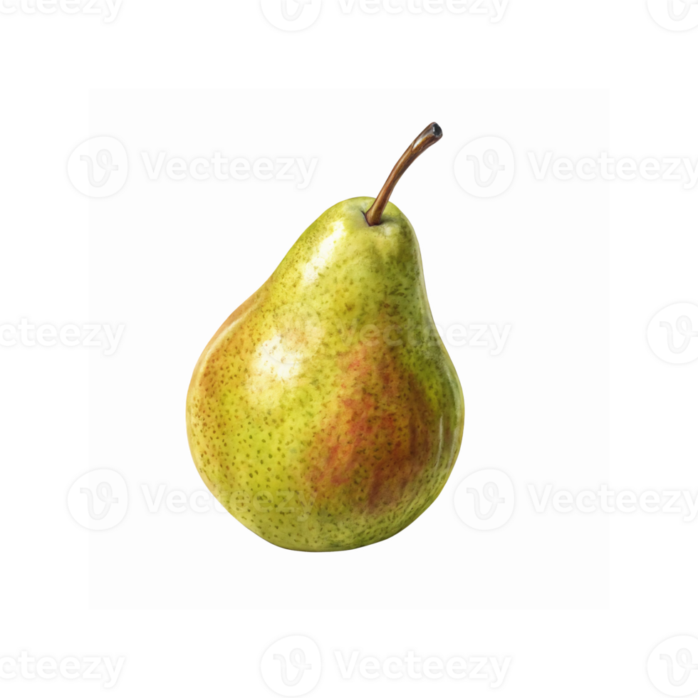 Green and Yellow Pear with Red Blush on Transparent Background Perfect for Food Design png