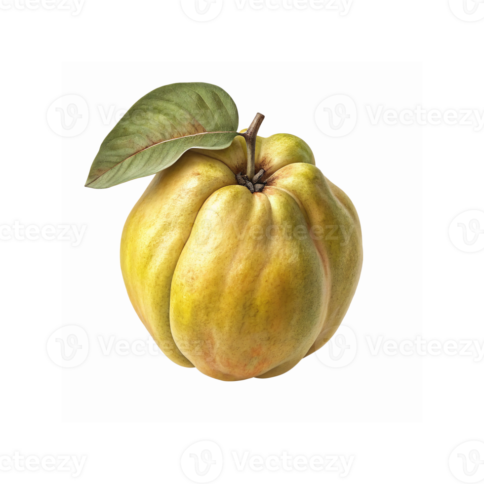 Ripe Yellow Quince Fruit with Green Leaf on Transparent Background for Healthy Food and Recipes png