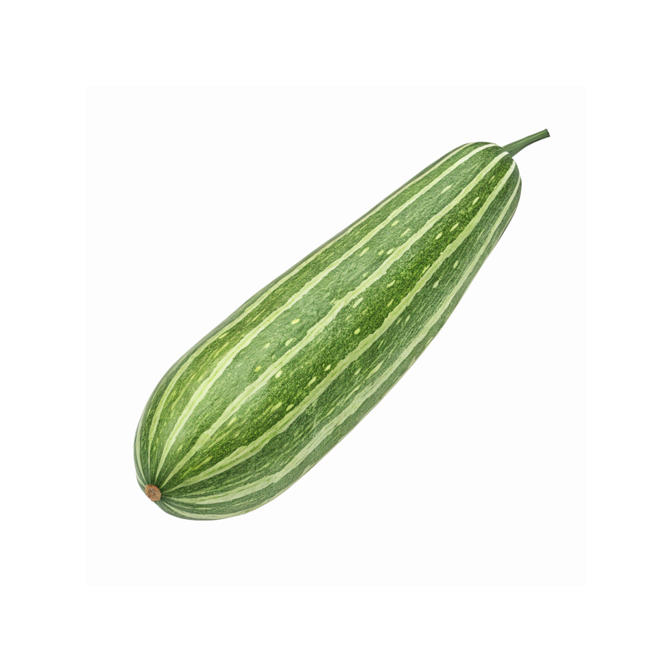 Green Striped Smooth Skin Vegetable Green Background Organic Whole Fresh Snake Gourd with Stem png