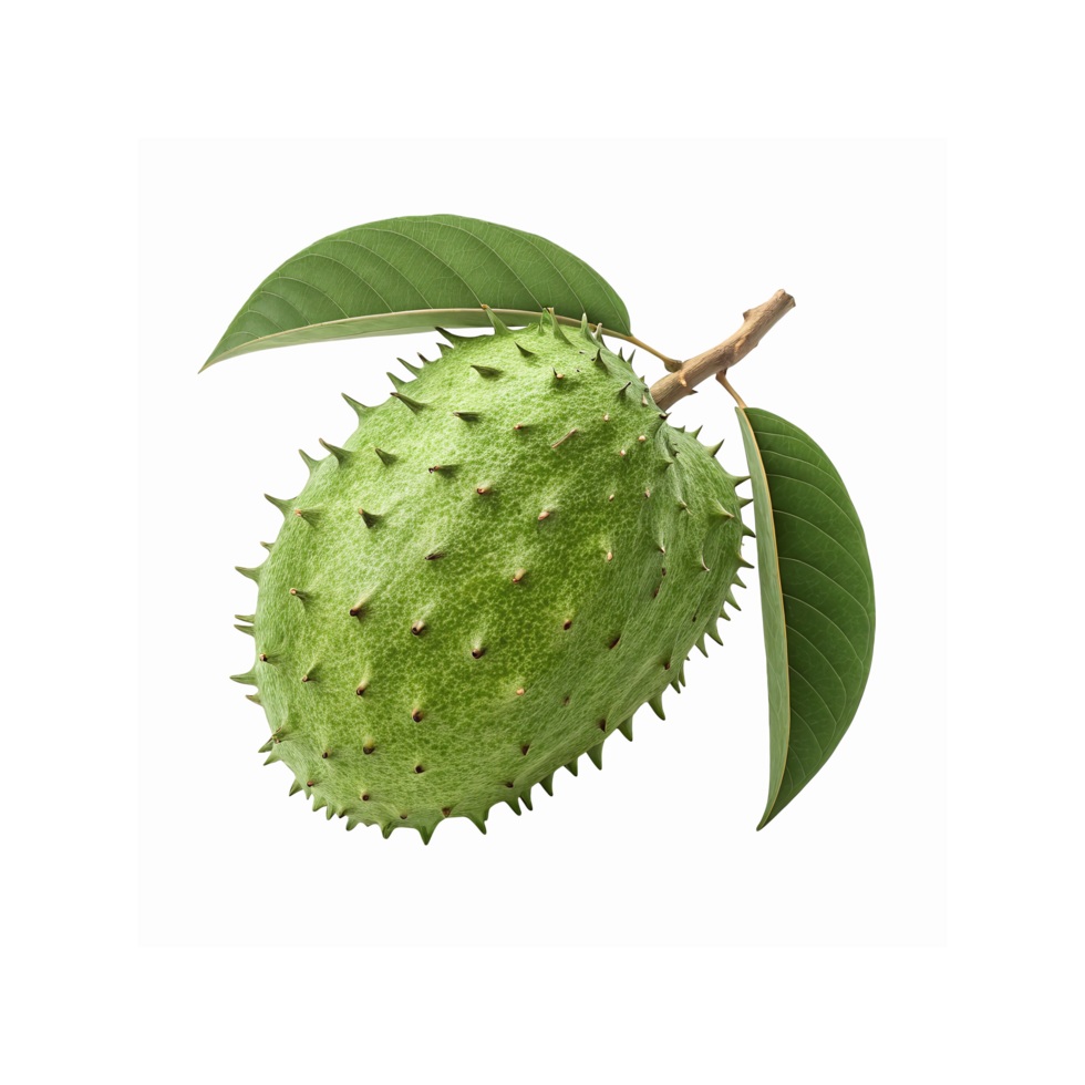 Green Fresh Soursop Fruit with Spiky Skin and Stem with Green Leaves on Transparent Background png