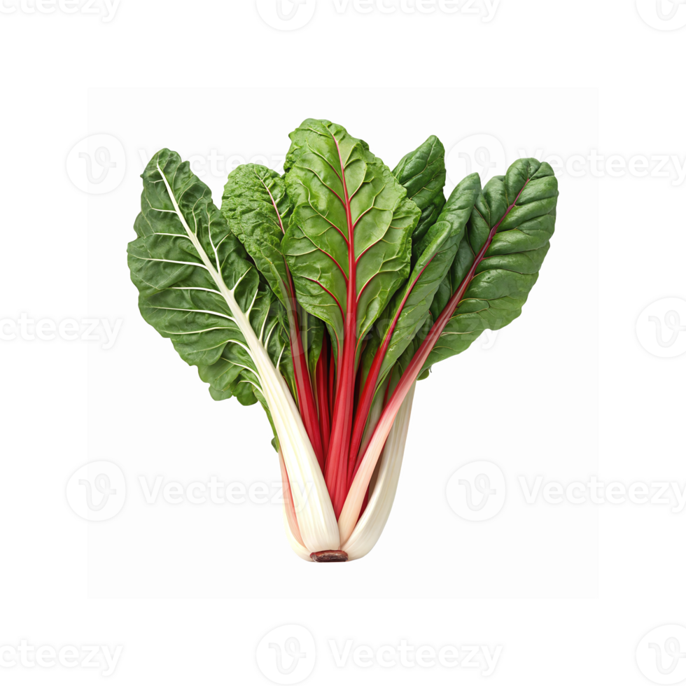 Fresh Green Swiss Chard Leaves with Red and White Stalks for Cooking and Healthy Meal Preparation png