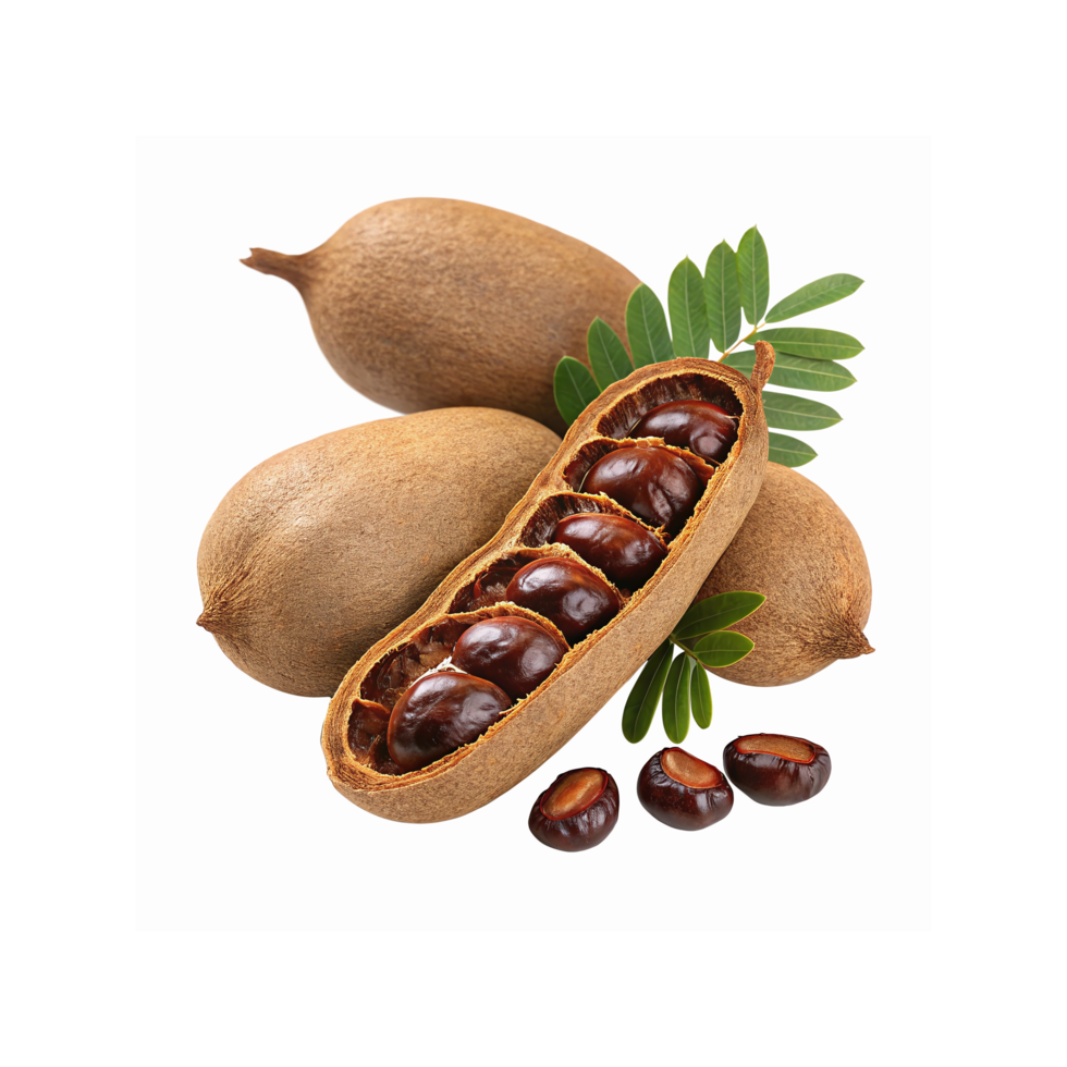 Tamarind Pods and Seeds with Green Leaves on Transparent Background for Culinary and Natural Uses png