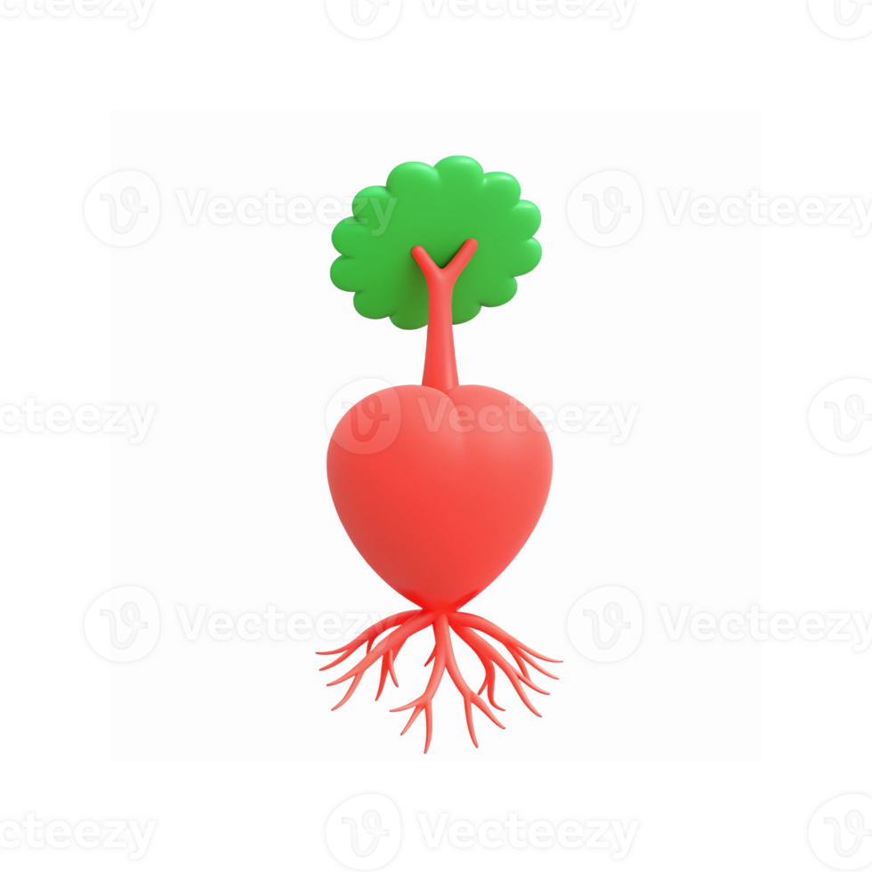 Heart Shaped Red Root Vegetable with Tree Top and Green Leaves on Transparent Background png