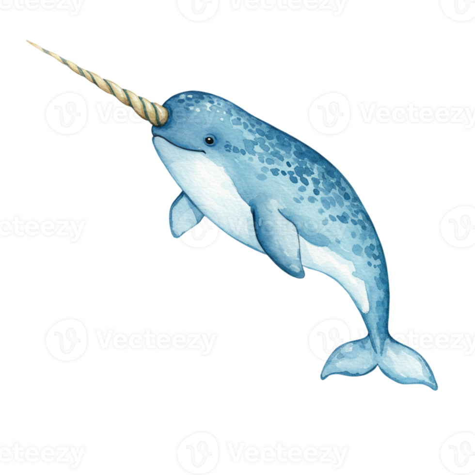 Adorable Watercolor Narwhal Illustration Aquatic Animal Design Sea Art Cute Blue Whale Ocean Fauna png