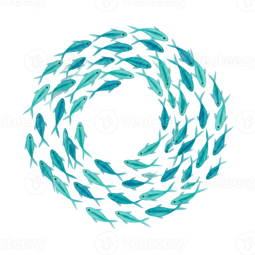 Teal Fish School Circle Aquatic Ocean Underwater Design Illustration art sea blue life swim group png