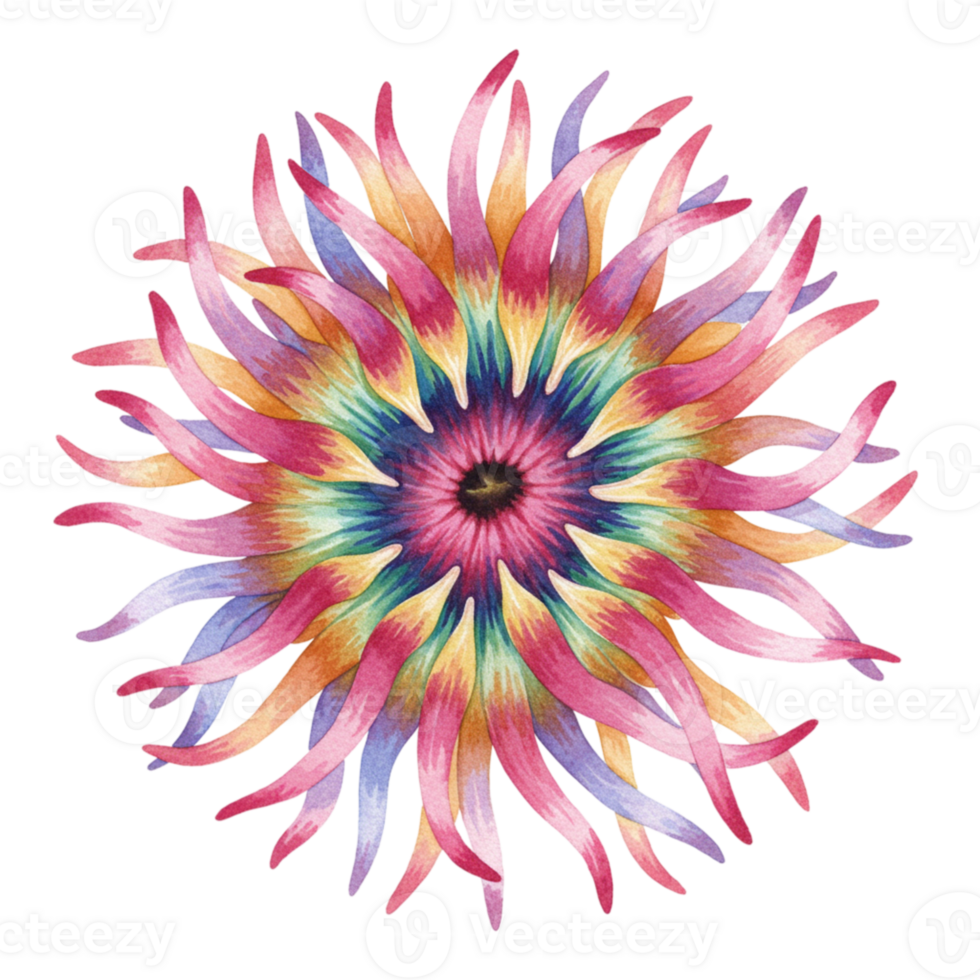 Vibrant Watercolor Sea Anemone Flower Mandala Design Art Red Pink Blue Life Ocean Green Floral png