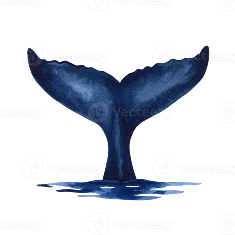 Elegant Watercolor Whale Tail Ocean Deep Blue Aquatic Wildlife Nature Sea Art Dark Fauna Marine png
