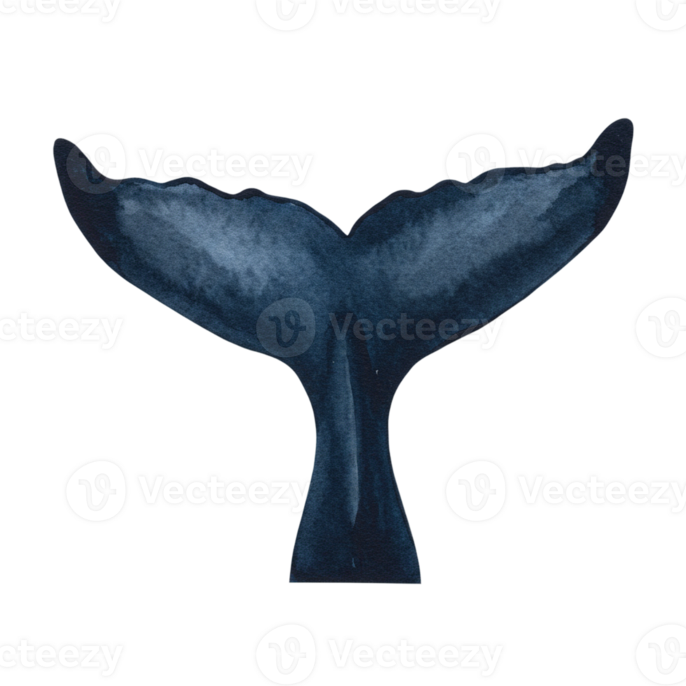 Elegant Watercolor Whale Tail Ocean Design Artistic Dark Blue Sea Deep Marine Animal Nature Subtle png