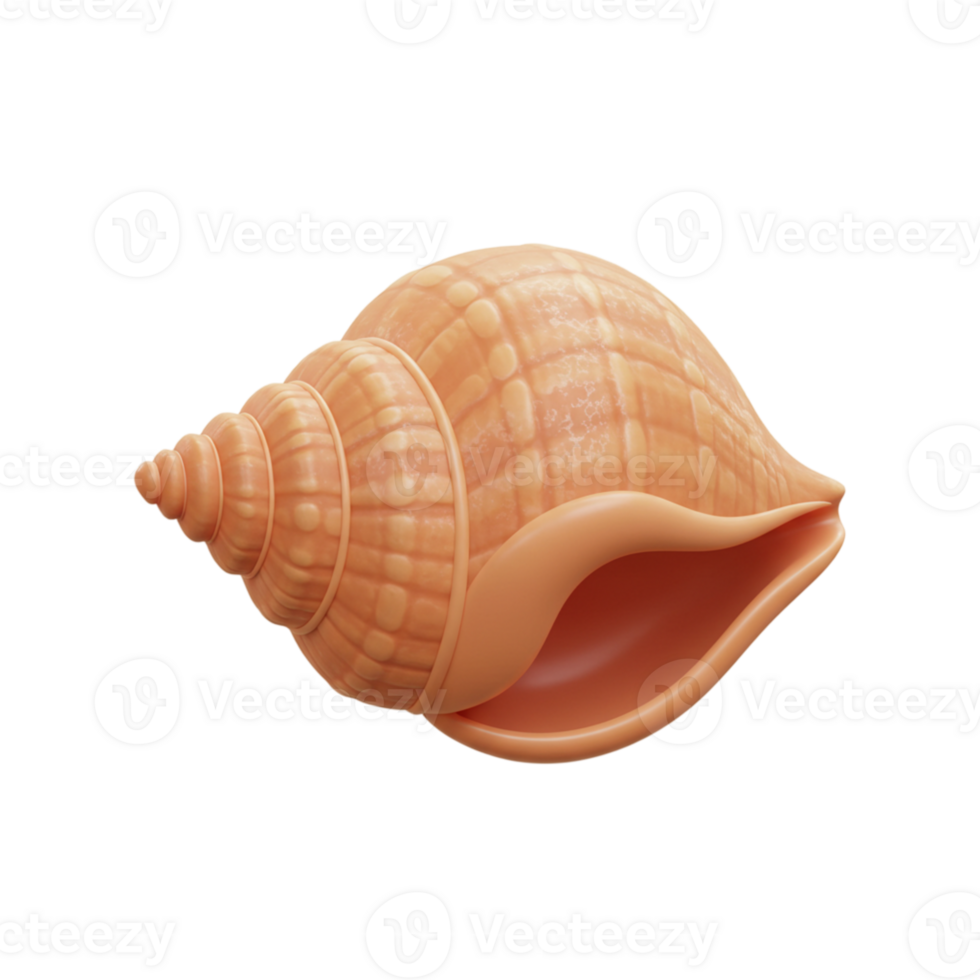 Detailed Peach Seashell Isolated on Black Background Summer Ocean 3D Sand Beach Coral Water Image png