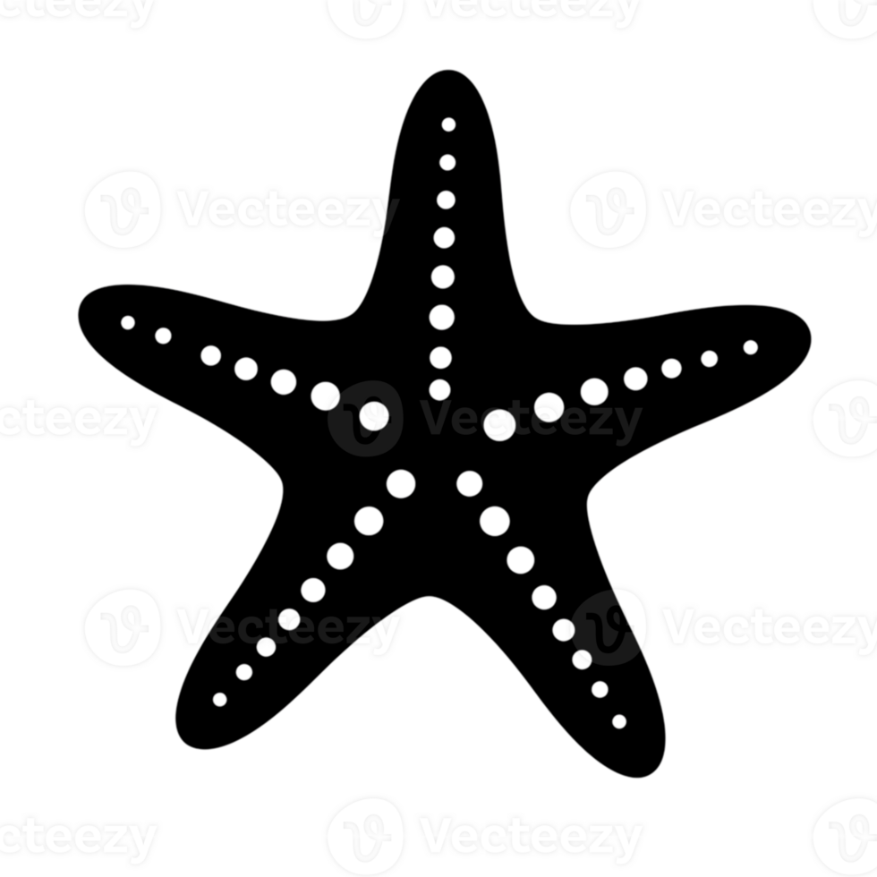Simple Line Art Starfish Ocean Beach Sea Animal Illustration Life Icon Water Image White Black png
